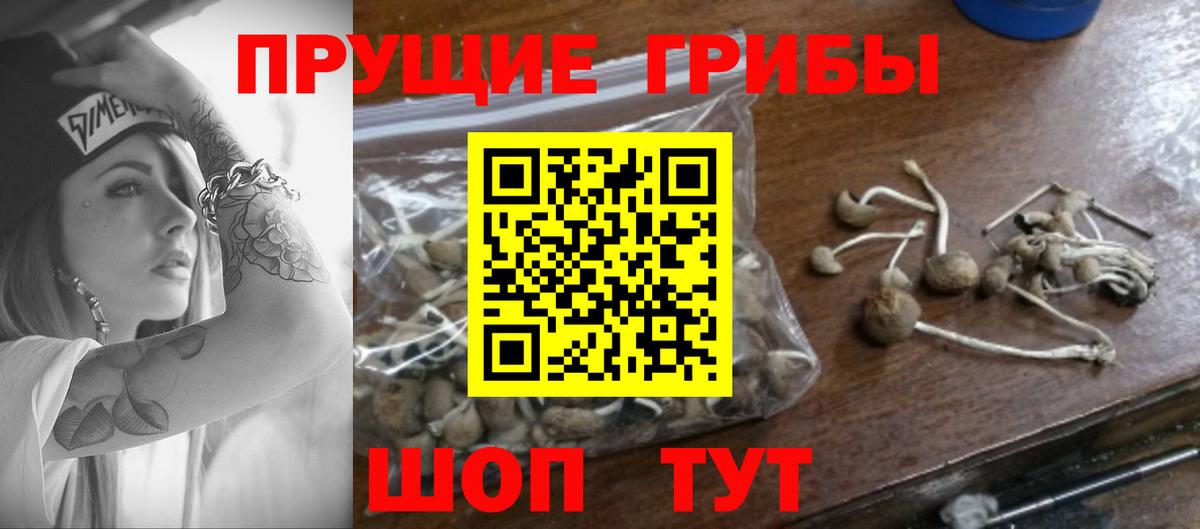 Нижневартовск  Галлюциногенные грибы Psilocybe  Вход с VPN  как найти закладки  Псилоцибиновые грибы мухоморы 